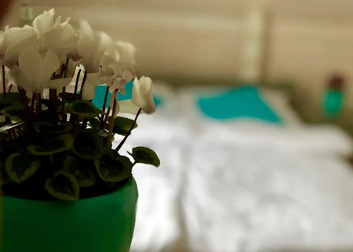 Sarbinowka Sarbinowo