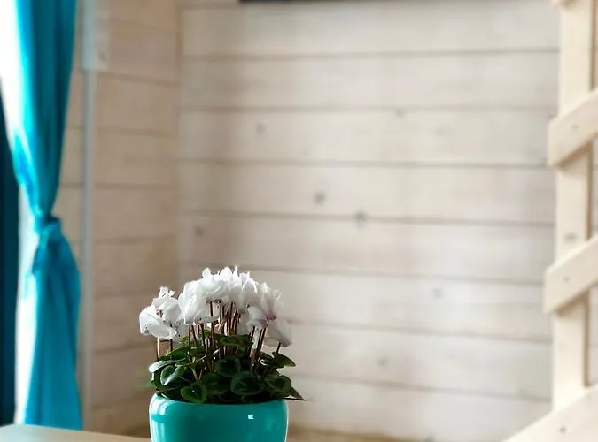 Sarbinowka Jaktstuga *